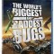 Насекомые гиганты - Самые крупные и опасные жуки - Worlds Biggest and Baddest Bugs