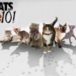 введение в котоводство - смотреть онлайн - 101 Cats - Animal Planet